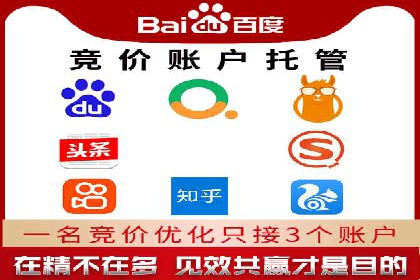 SEM服务优势案例分享